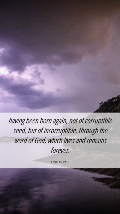 Picture 06 - 1 Peter 1:23 WEB Mobile Phone Wallpaper - having been born again, not of corruptible seed, - Mobile Bible Verse Wallpaper