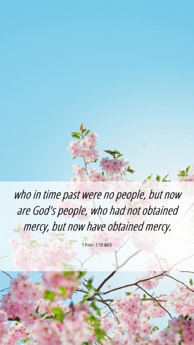 Picture 06 - 1 Peter 2:10 WEB Mobile Phone Wallpaper - who in time past were no people, but now are - Mobile Bible Verse Wallpaper