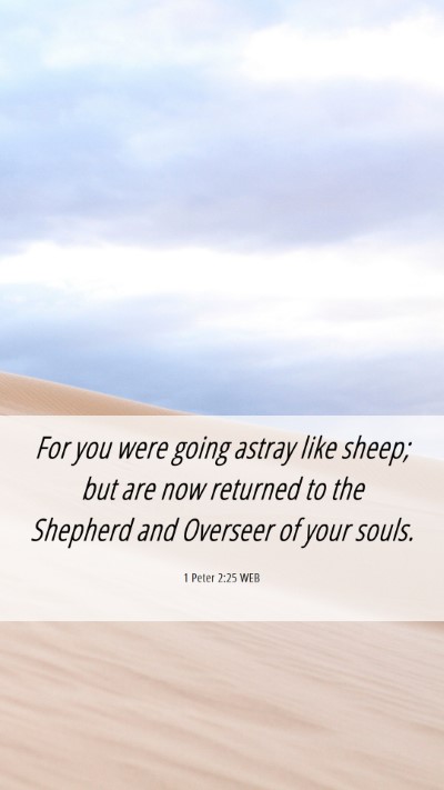Picture 06 - 1 Peter 2:25 WEB Mobile Phone Wallpaper - For you were going astray like sheep; but are now - Mobile Bible Verse Wallpaper