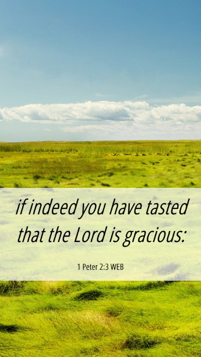 Picture 06 - 1 Peter 2:3 WEB Mobile Phone Wallpaper - if indeed you have tasted that the Lord is - Mobile Bible Verse Wallpaper