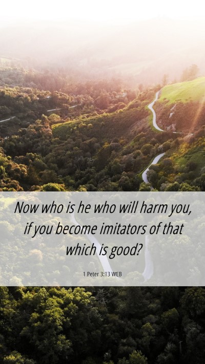 Picture 06 - 1 Peter 3:13 WEB Mobile Phone Wallpaper - Now who is he who will harm you, if you become - Mobile Bible Verse Wallpaper