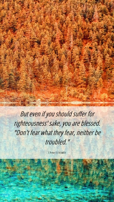 Picture 06 - 1 Peter 3:14 WEB Mobile Phone Wallpaper - But even if you should suffer for righteousness' - Mobile Bible Verse Wallpaper