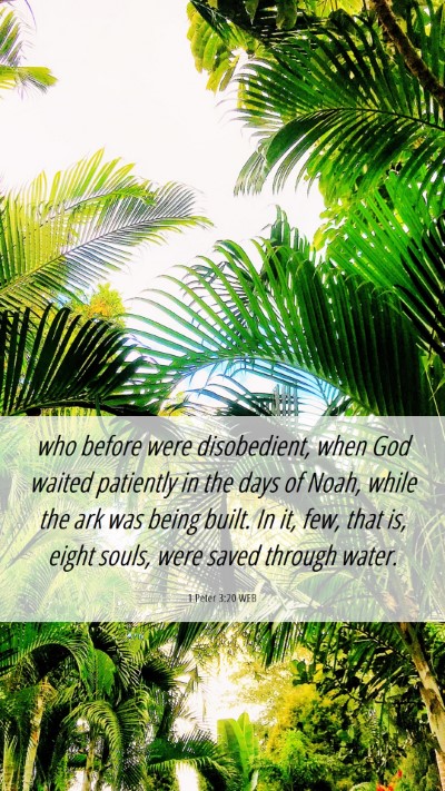 Picture 06 - 1 Peter 3:20 WEB Mobile Phone Wallpaper - who before were disobedient, when God waited - Mobile Bible Verse Wallpaper