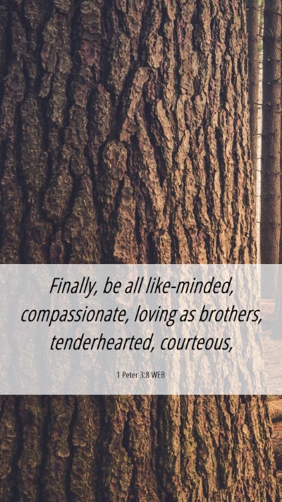 Picture 06 - 1 Peter 3:8 WEB Mobile Phone Wallpaper - Finally, be all like-minded, compassionate, - Mobile Bible Verse Wallpaper