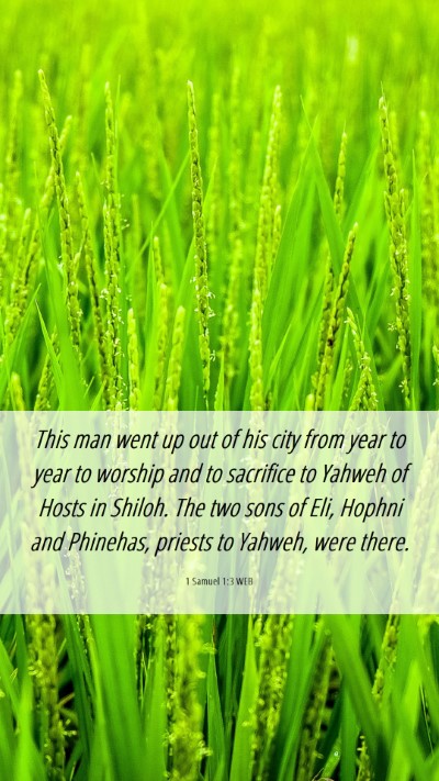 Picture 06 - 1 Samuel 1:3 WEB Mobile Phone Wallpaper - This man went up out of his city from year to - Mobile Bible Verse Wallpaper
