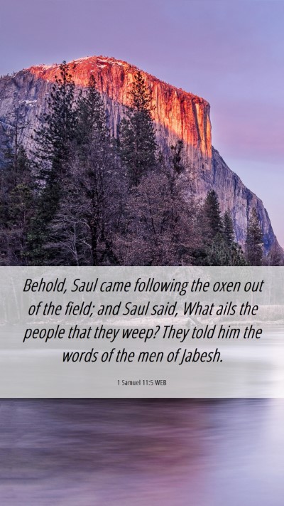 Picture 06 - 1 Samuel 11:5 WEB Mobile Phone Wallpaper - Behold, Saul came following the oxen out of the - Mobile Bible Verse Wallpaper