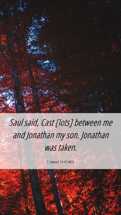 Picture 06 - 1 Samuel 14:42 WEB Mobile Phone Wallpaper - Saul said, Cast [lots] between me and Jonathan my - Mobile Bible Verse Wallpaper