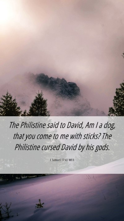Picture 06 - 1 Samuel 17:43 WEB Mobile Phone Wallpaper - The Philistine said to David, Am I a dog, that - Mobile Bible Verse Wallpaper