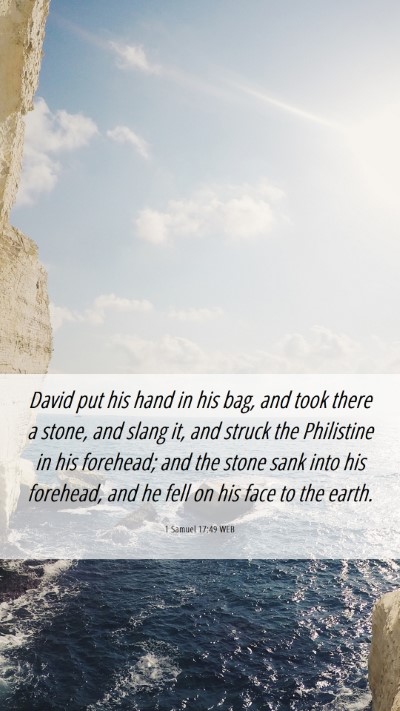 Picture 06 - 1 Samuel 17:49 WEB Mobile Phone Wallpaper - David put his hand in his bag, and took there a - Mobile Bible Verse Wallpaper