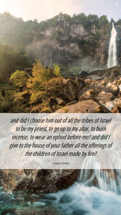 Picture 06 - 1 Samuel 2:28 WEB Mobile Phone Wallpaper - and did I choose him out of all the tribes of - Mobile Bible Verse Wallpaper