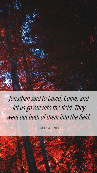 Picture 06 - 1 Samuel 20:11 WEB Mobile Phone Wallpaper - Jonathan said to David, Come, and let us go out - Mobile Bible Verse Wallpaper