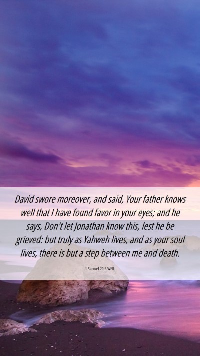 Picture 06 - 1 Samuel 20:3 WEB Mobile Phone Wallpaper - David swore moreover, and said, Your father knows - Mobile Bible Verse Wallpaper