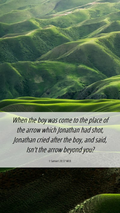Picture 06 - 1 Samuel 20:37 WEB Mobile Phone Wallpaper - When the boy was come to the place of the arrow - Mobile Bible Verse Wallpaper