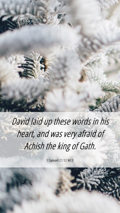 Picture 06 - 1 Samuel 21:12 WEB Mobile Phone Wallpaper - David laid up these words in his heart, and was - Mobile Bible Verse Wallpaper