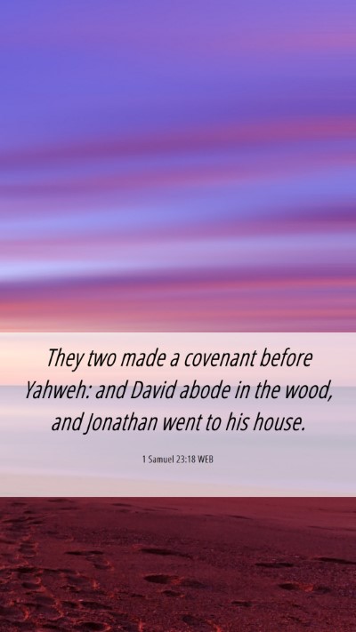 Picture 06 - 1 Samuel 23:18 WEB Mobile Phone Wallpaper - They two made a covenant before Yahweh: and David - Mobile Bible Verse Wallpaper