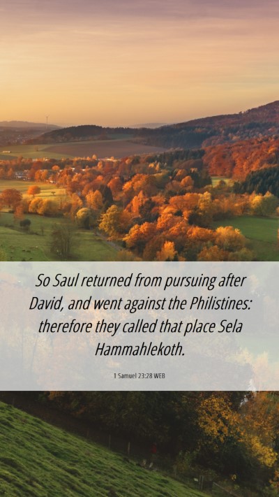 Picture 06 - 1 Samuel 23:28 WEB Mobile Phone Wallpaper - So Saul returned from pursuing after David, and - Mobile Bible Verse Wallpaper