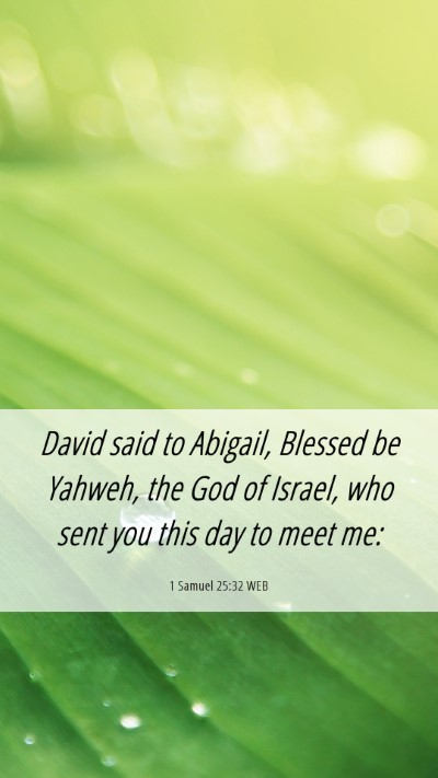 Picture 06 - 1 Samuel 25:32 WEB Mobile Phone Wallpaper - David said to Abigail, Blessed be Yahweh, the God - Mobile Bible Verse Wallpaper