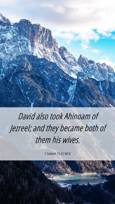 Picture 06 - 1 Samuel 25:43 WEB Mobile Phone Wallpaper - David also took Ahinoam of Jezreel; and they - Mobile Bible Verse Wallpaper