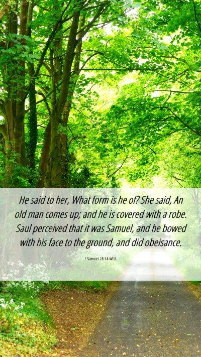 Picture 06 - 1 Samuel 28:14 WEB Mobile Phone Wallpaper - He said to her, What form is he of? She said, An - Mobile Bible Verse Wallpaper