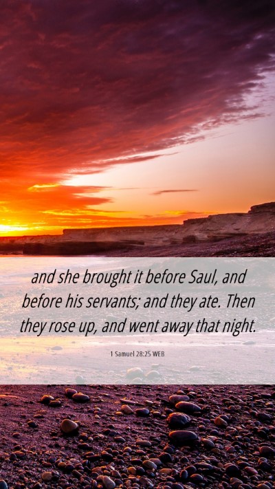 Picture 06 - 1 Samuel 28:25 WEB Mobile Phone Wallpaper - and she brought it before Saul, and before his - Mobile Bible Verse Wallpaper