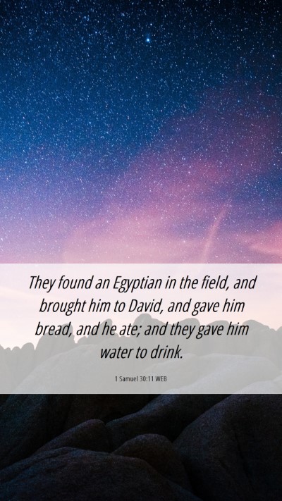 Picture 06 - 1 Samuel 30:11 WEB Mobile Phone Wallpaper - They found an Egyptian in the field, and brought - Mobile Bible Verse Wallpaper