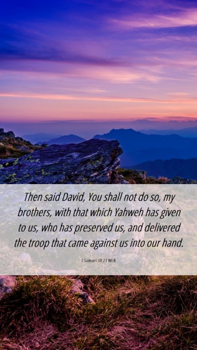 Picture 06 - 1 Samuel 30:23 WEB Mobile Phone Wallpaper - Then said David, You shall not do so, my - Mobile Bible Verse Wallpaper