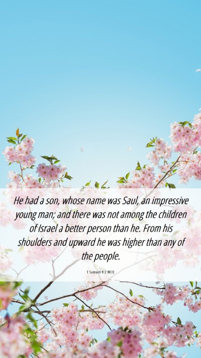 Picture 06 - 1 Samuel 9:2 WEB Mobile Phone Wallpaper - He had a son, whose name was Saul, an impressive - Mobile Bible Verse Wallpaper