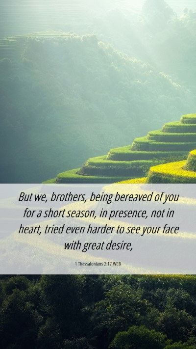 Picture 06 - 1 Thessalonians 2:17 WEB Mobile Phone Wallpaper - But we, brothers, being bereaved of you for a - Mobile Bible Verse Wallpaper