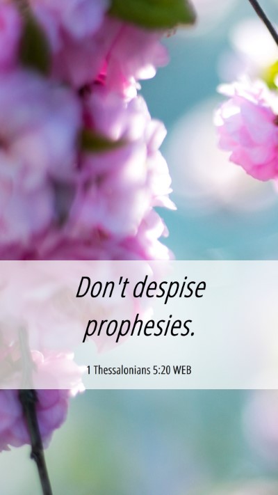Picture 06 - 1 Thessalonians 5:20 WEB Mobile Phone Wallpaper - Don't despise - Mobile Bible Verse Wallpaper