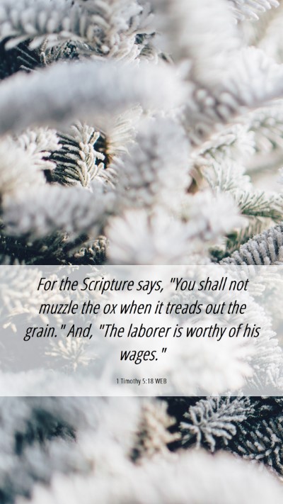 Picture 06 - 1 Timothy 5:18 WEB Mobile Phone Wallpaper - For the Scripture says, 