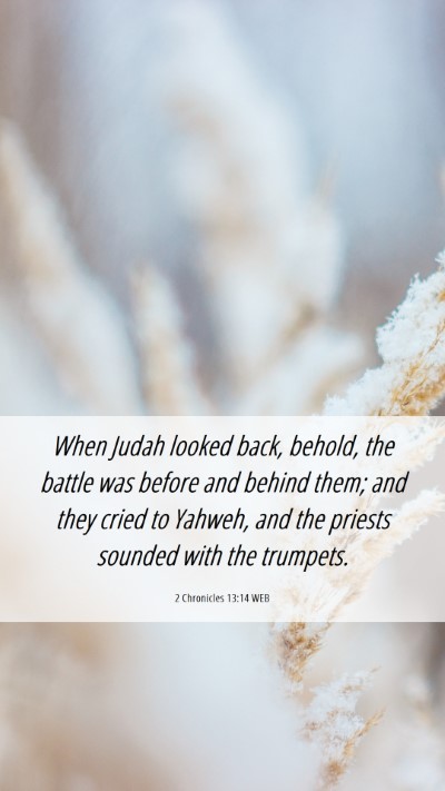 Picture 06 - 2 Chronicles 13:14 WEB Mobile Phone Wallpaper - When Judah looked back, behold, the battle was - Mobile Bible Verse Wallpaper