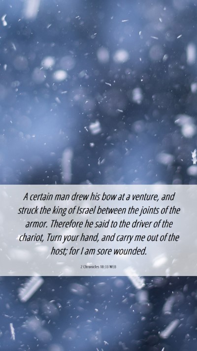 Picture 06 - 2 Chronicles 18:33 WEB Mobile Phone Wallpaper - A certain man drew his bow at a venture, and - Mobile Bible Verse Wallpaper