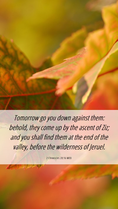Picture 06 - 2 Chronicles 20:16 WEB Mobile Phone Wallpaper - Tomorrow go you down against them: behold, they - Mobile Bible Verse Wallpaper