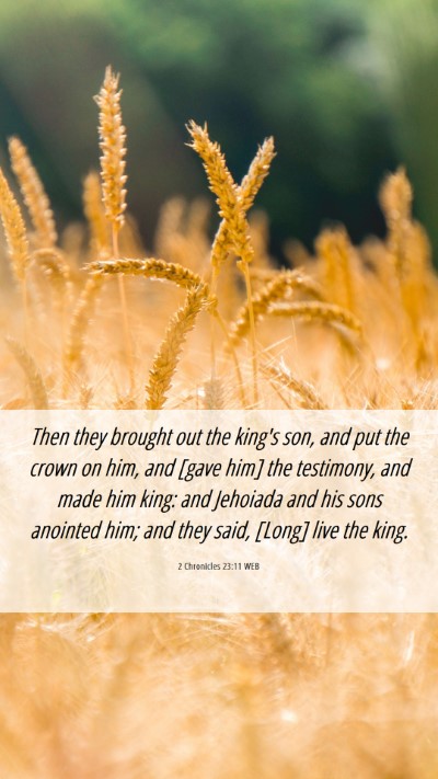 Picture 06 - 2 Chronicles 23:11 WEB Mobile Phone Wallpaper - Then they brought out the king's son, and put the - Mobile Bible Verse Wallpaper