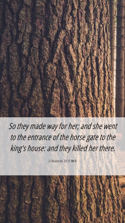 Picture 06 - 2 Chronicles 23:15 WEB Mobile Phone Wallpaper - So they made way for her; and she went to the - Mobile Bible Verse Wallpaper