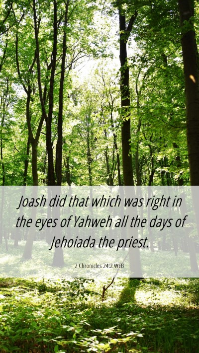 Picture 06 - 2 Chronicles 24:2 WEB Mobile Phone Wallpaper - Joash did that which was right in the eyes of - Mobile Bible Verse Wallpaper