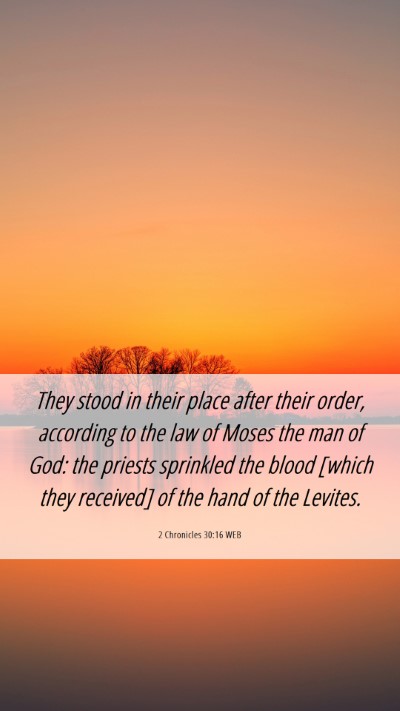 Picture 06 - 2 Chronicles 30:16 WEB Mobile Phone Wallpaper - They stood in their place after their order, - Mobile Bible Verse Wallpaper