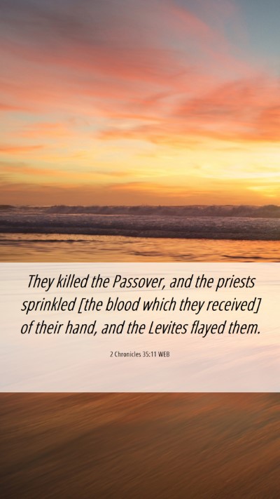 Picture 06 - 2 Chronicles 35:11 WEB Mobile Phone Wallpaper - They killed the Passover, and the priests - Mobile Bible Verse Wallpaper
