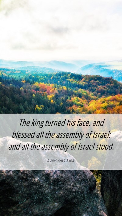 Picture 06 - 2 Chronicles 6:3 WEB Mobile Phone Wallpaper - The king turned his face, and blessed all the - Mobile Bible Verse Wallpaper