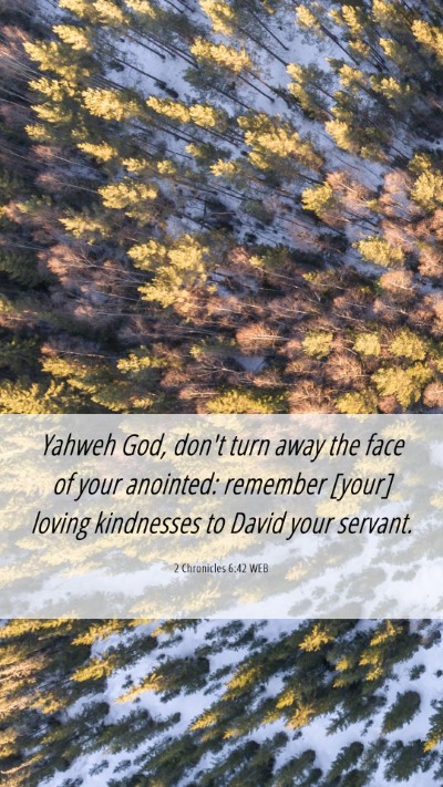 Picture 06 - 2 Chronicles 6:42 WEB Mobile Phone Wallpaper - Yahweh God, don't turn away the face of your - Mobile Bible Verse Wallpaper