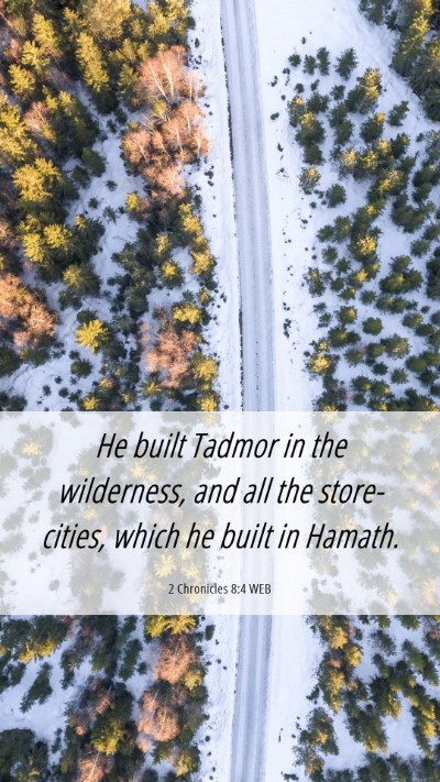 Picture 06 - 2 Chronicles 8:4 WEB Mobile Phone Wallpaper - He built Tadmor in the wilderness, and all the - Mobile Bible Verse Wallpaper