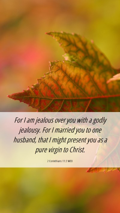 Picture 06 - 2 Corinthians 11:2 WEB Mobile Phone Wallpaper - For I am jealous over you with a godly jealousy. - Mobile Bible Verse Wallpaper