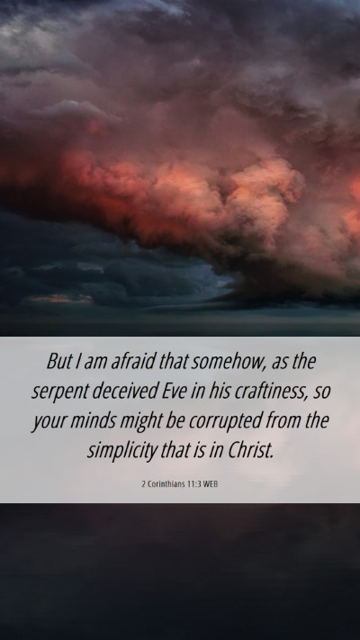 Picture 06 - 2 Corinthians 11:3 WEB Mobile Phone Wallpaper - But I am afraid that somehow, as the serpent - Mobile Bible Verse Wallpaper