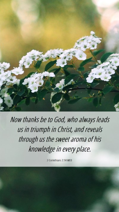 Picture 06 - 2 Corinthians 2:14 WEB Mobile Phone Wallpaper - Now thanks be to God, who always leads us in - Mobile Bible Verse Wallpaper