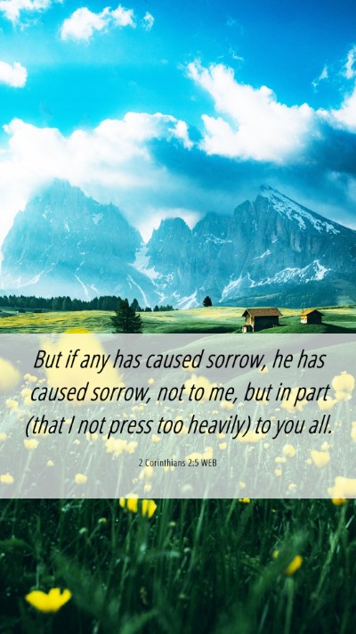 Picture 06 - 2 Corinthians 2:5 WEB Mobile Phone Wallpaper - But if any has caused sorrow, he has caused - Mobile Bible Verse Wallpaper