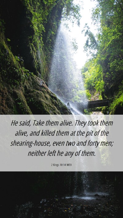Picture 06 - 2 Kings 10:14 WEB Mobile Phone Wallpaper - He said, Take them alive. They took them alive, - Mobile Bible Verse Wallpaper