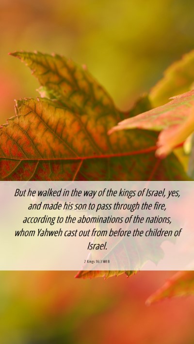 Picture 06 - 2 Kings 16:3 WEB Mobile Phone Wallpaper - But he walked in the way of the kings of Israel, - Mobile Bible Verse Wallpaper