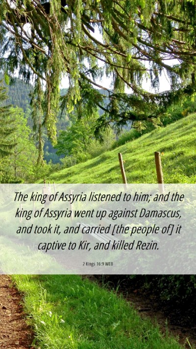 Picture 06 - 2 Kings 16:9 WEB Mobile Phone Wallpaper - The king of Assyria listened to him; and the king - Mobile Bible Verse Wallpaper