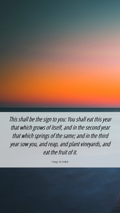 Picture 06 - 2 Kings 19:29 WEB Mobile Phone Wallpaper - This shall be the sign to you: You shall eat this - Mobile Bible Verse Wallpaper