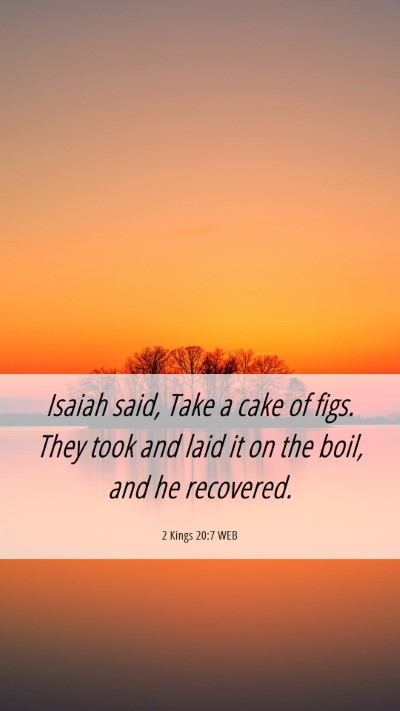 Picture 06 - 2 Kings 20:7 WEB Mobile Phone Wallpaper - Isaiah said, Take a cake of figs. They took and - Mobile Bible Verse Wallpaper